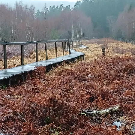 Les De Juliane Et Eric